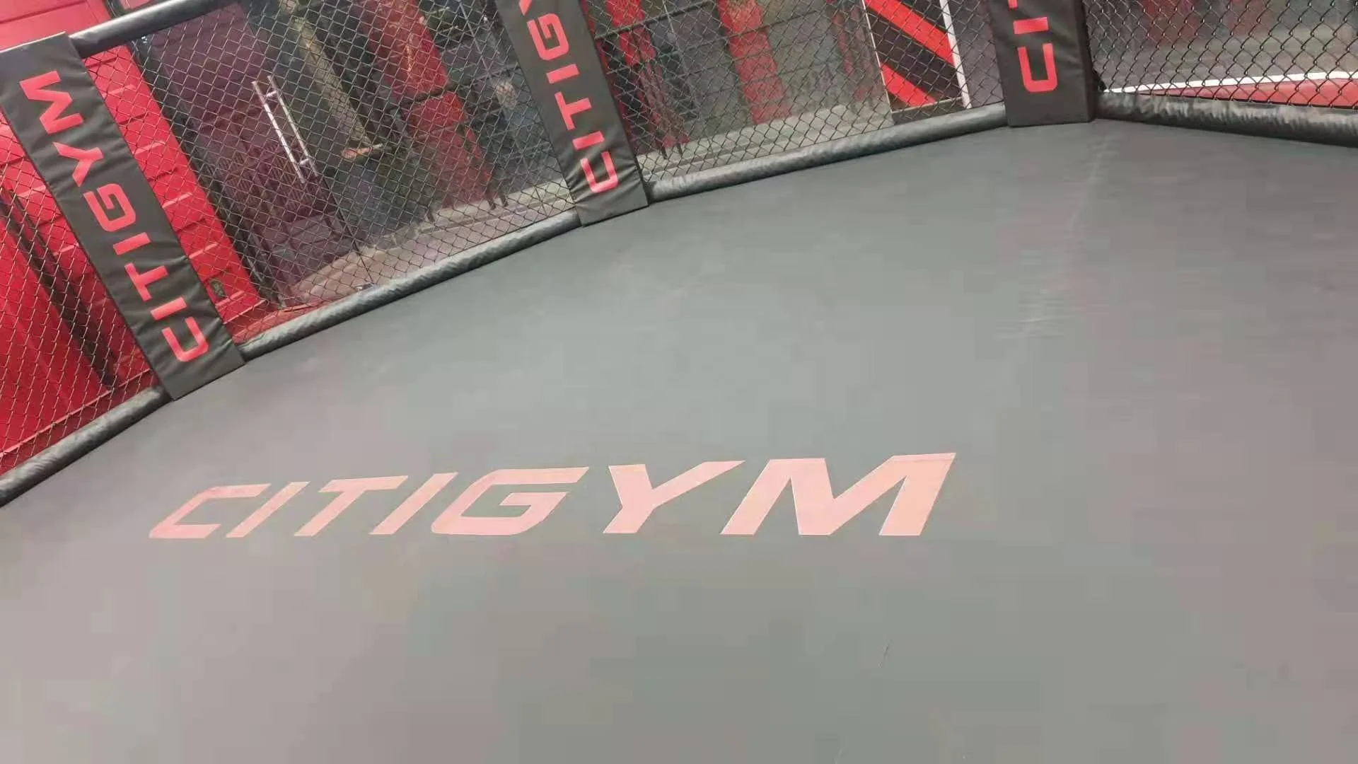 Boxing Cage Cost-effective International MMA Octagon Boxing Cage for Sale