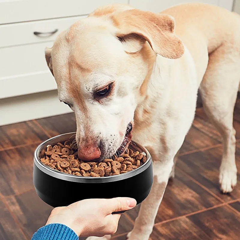 Custom Printing Pet Bowls Vacuum Insulated Stainless Steel Fashion for Dogs Food Storage Innovation Productos Innovadores 500pcs