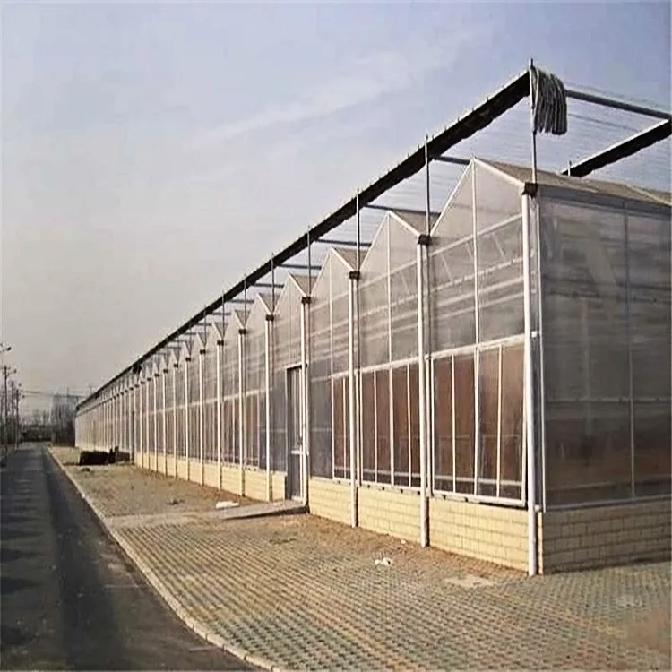 New Product Green House Hydroponic Container Farm Greenhouse Frame In Hot Sale