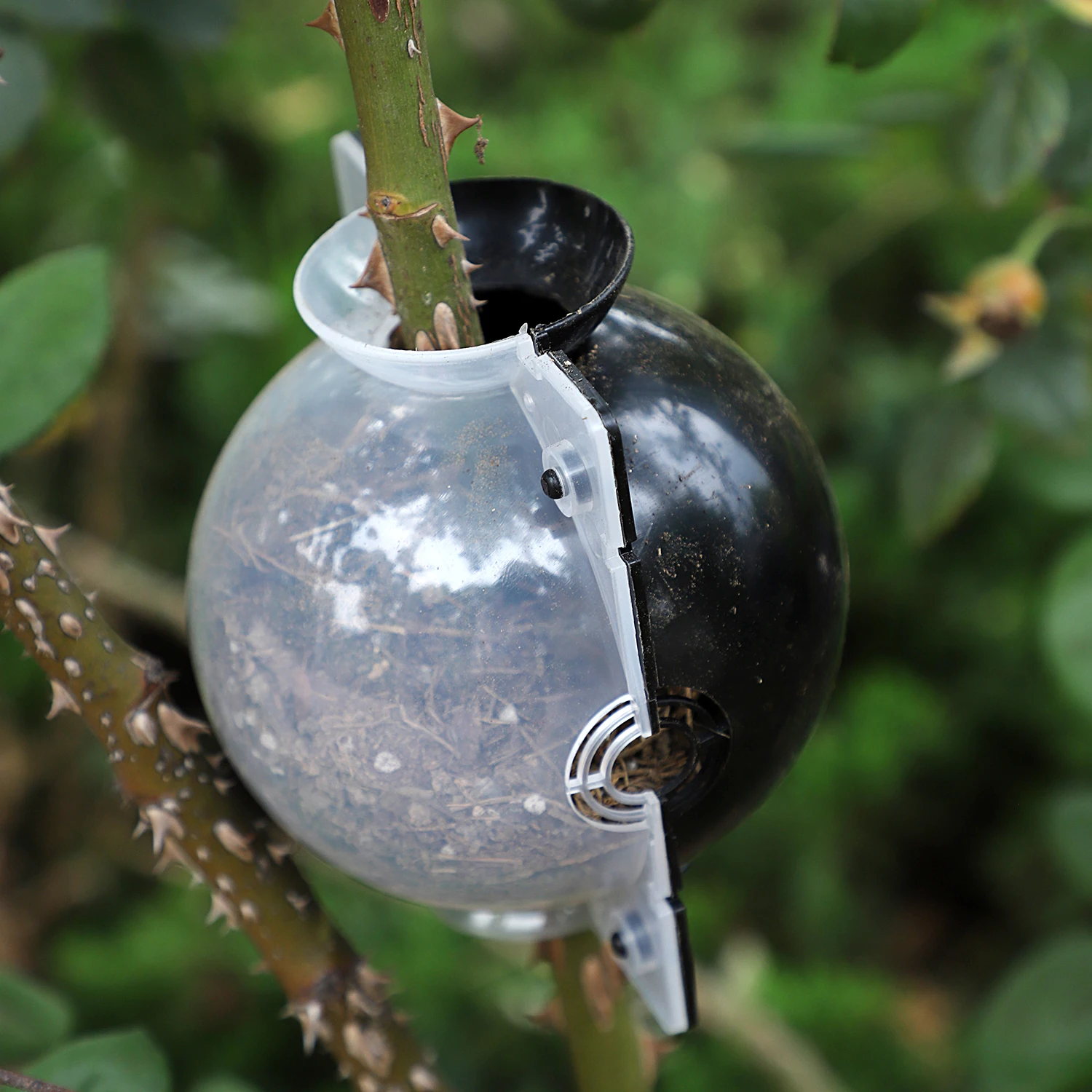 Plant  grafting rooting growing box  Breeding Case for Garden Plant high-pressure Propagation root ball