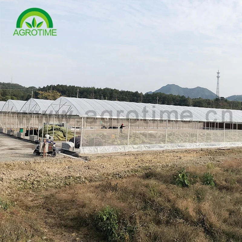  Chinese project hot sale commercial agriculture multi span hydroponic greenhouse glass green house for
