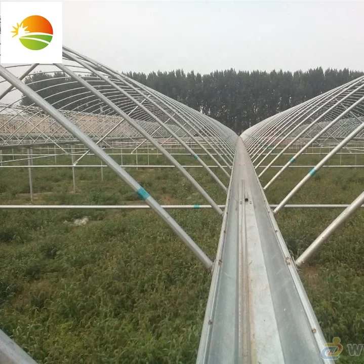 Agricultural greenhouse price wholesale low cost multi-span plastic greenhouse