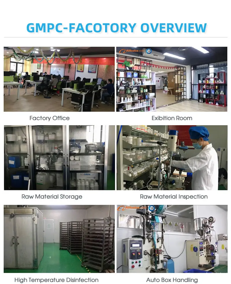 Factory Over View 1.jpg