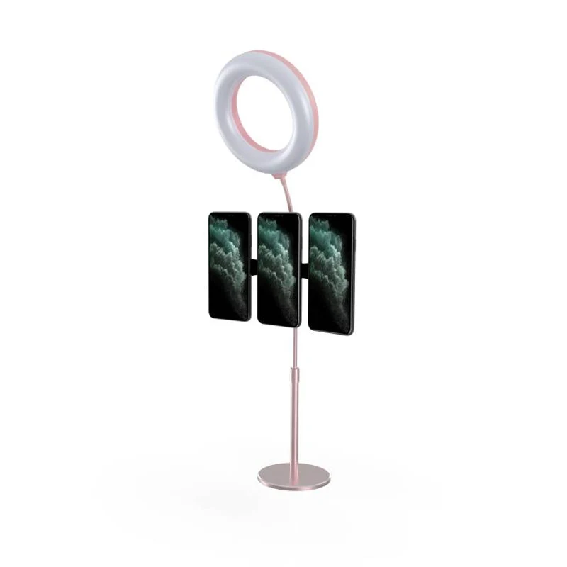 Wholesale Beauty 10 inch Photographic Selfie Led Ring Light With Tripod Stand For Live Stream Makeup