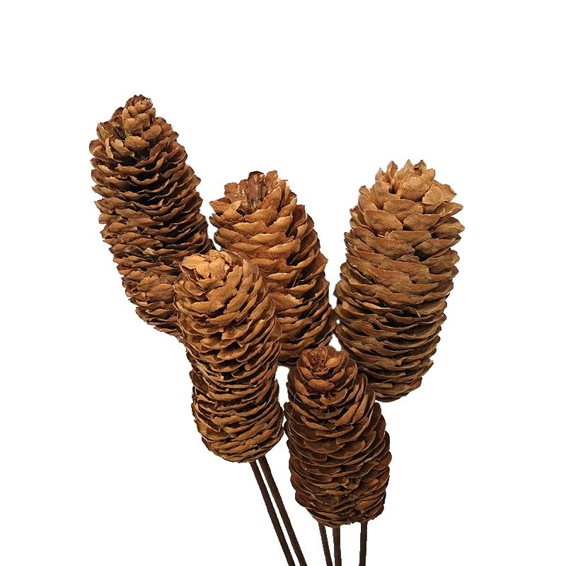 Amazon wholesale flowers natural dried pine cone florist supplies for interior home decorative