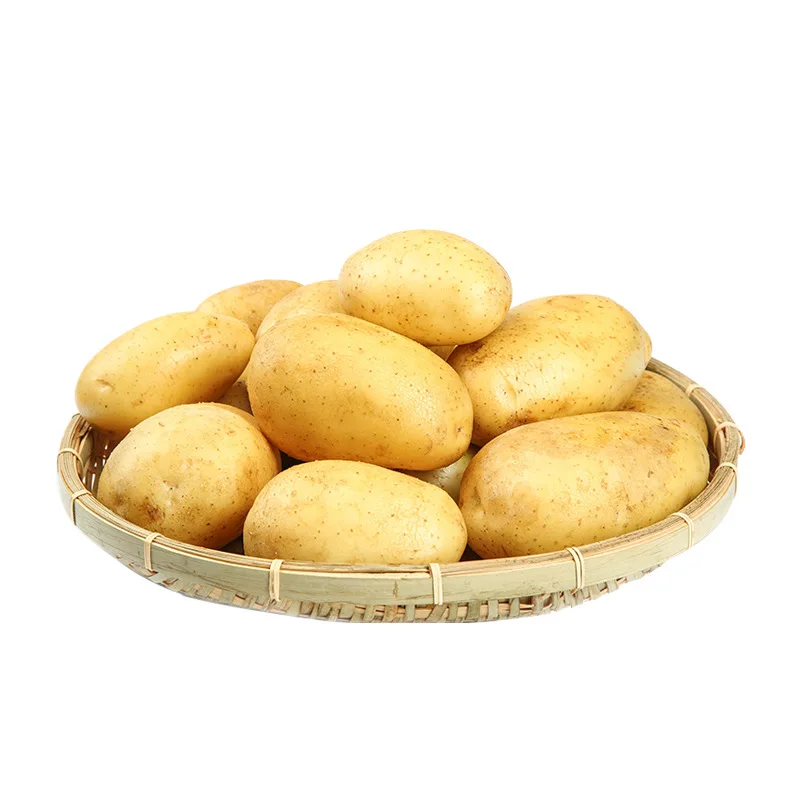 Fresh Potato Price Per Ton Price Wholesale New Crop Potato Good Quality Export