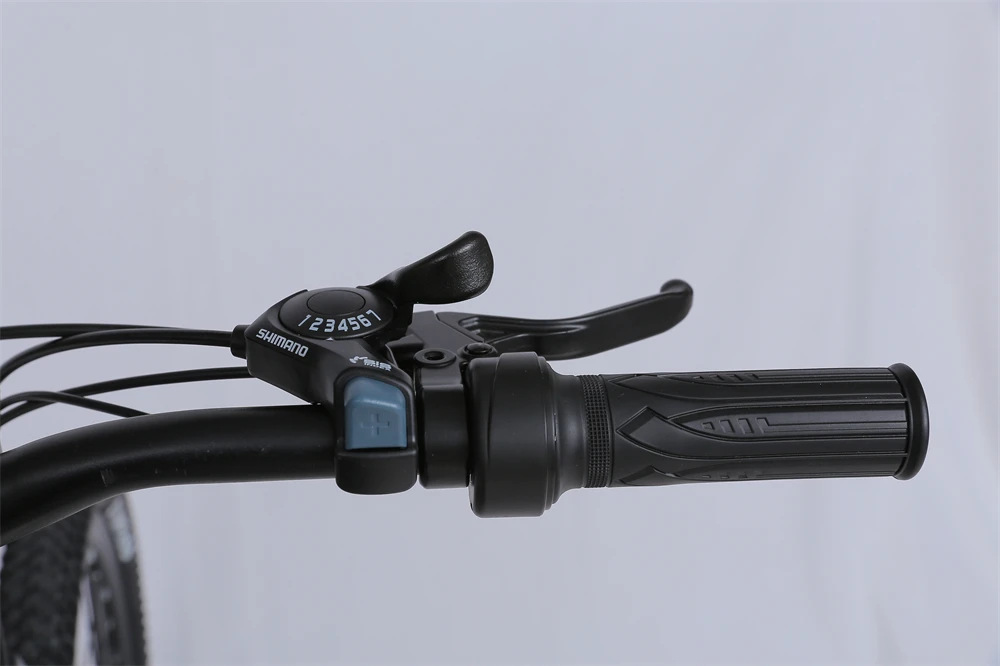 Popular electric bikes tianjin 250w bicycle electric bike mountain 36v mountain bike with electric for US UK