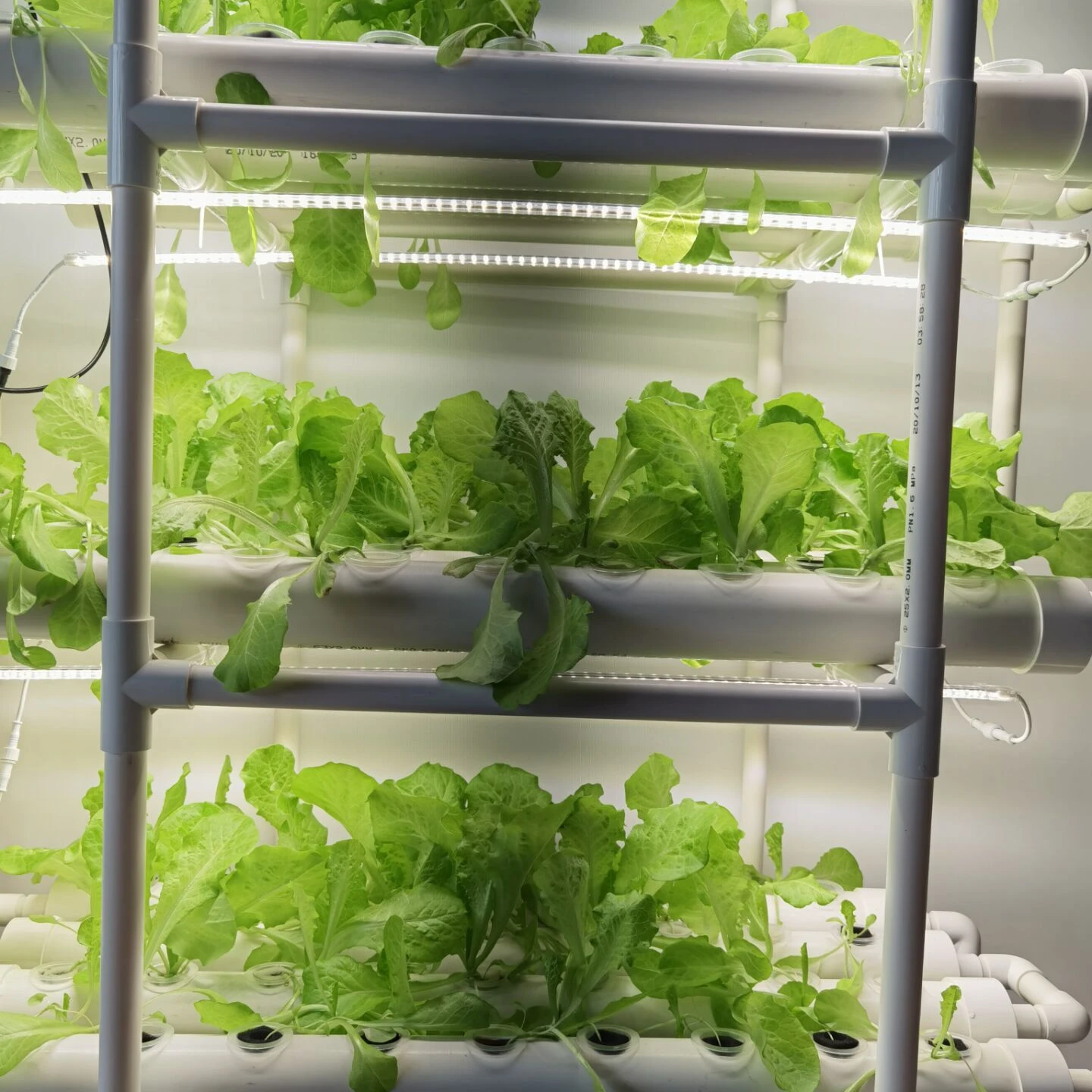 108 Holes Kits Hydroponics System,Vertical Hydroponic Growing Systems With Led Growing Light