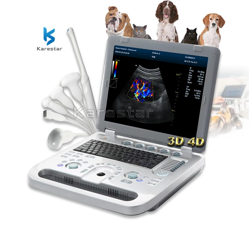 KARESTAR 3D 4D Full Digital Laptop Ultrasound of Dog Abdomen Pancreas Ultrasound (1600700990850)