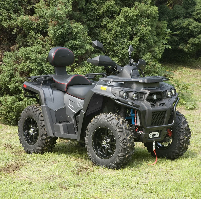 Горячий стиль 800cc 4 wheeler способный преодолевать Броды для