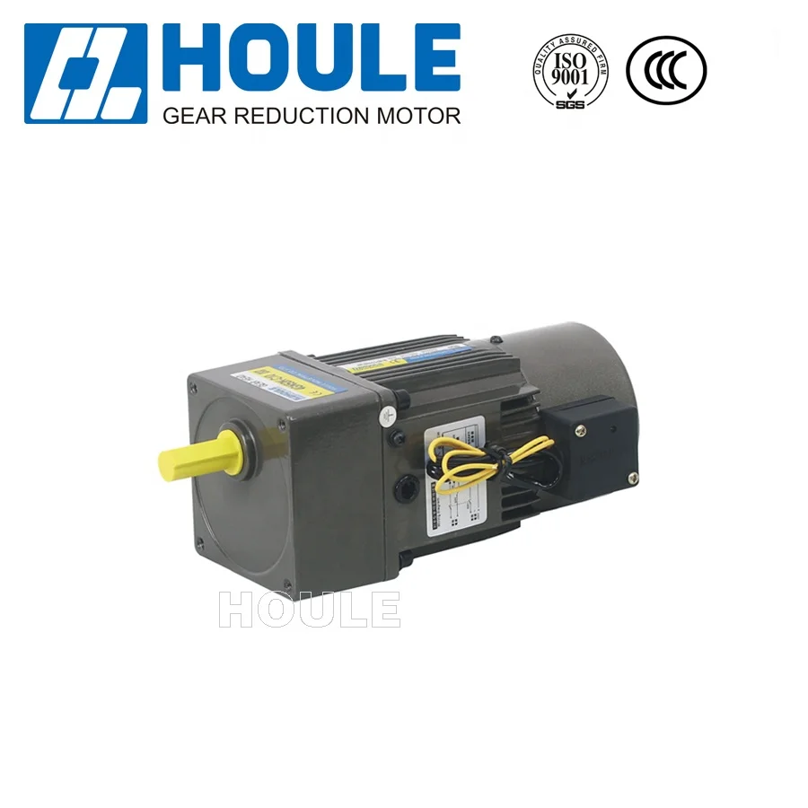 Houle high quality 25W Dark blue AC gear reduction motor mini gear motor worm gearbox