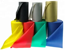 Latex Resistance Customized Theraband Roll With Logo Printing