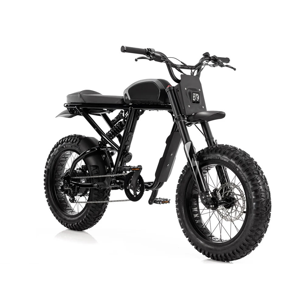 2022  20 inch Off Road Electric Dirt Bike with  48V 17.5Ah 750W hub motor fat tire electric bike for adults