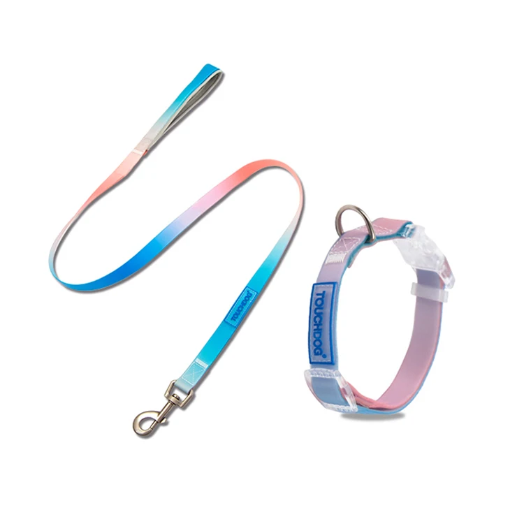 All kinds of pet leashes chain pet dog leash harness pet leash rope
