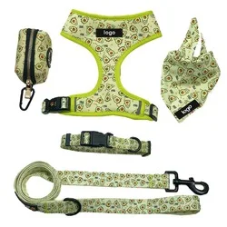Luxury Harness Dog