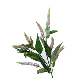 60 pcs pampas grass
