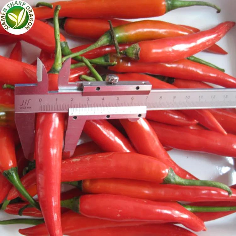 Whole Frozen IQF Red Chilli Pepper Bulk Organic Freeze Freezing Healthy Natural Nutritious Wholesale price