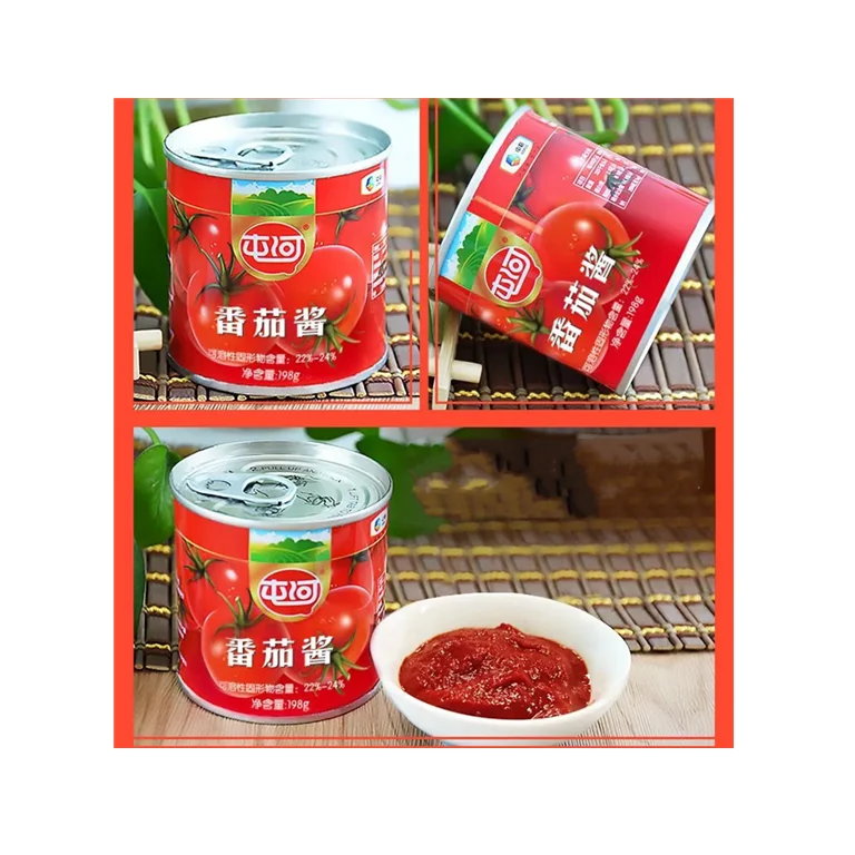 High Quality Canned Tomato Paste 70g*50 Tins Tomato Saucer Brix 28-30% From China Factory