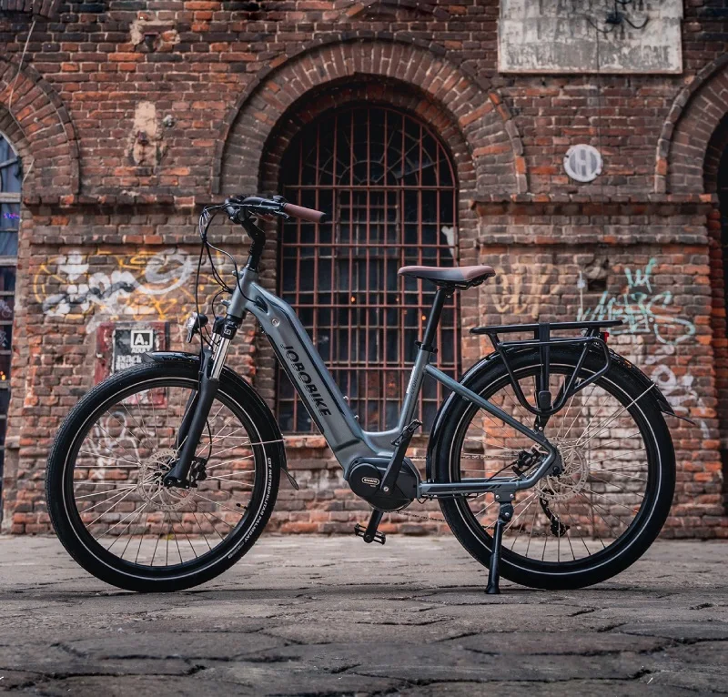 PL Factory Direct Sale Men City Electric Bike Hot Sale Fast Long bike Electric Road Bike Bicicleta Electrica