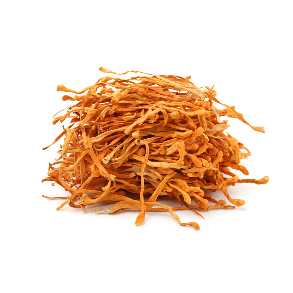 Top Quality Private Label dried cordyceps sinensis for sale cordyceps sinensis  Free Sample Best Selling