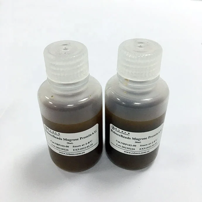 
Magnetic Beads Method Purification Products Kits Lab Reagent for Immunoprecipitation and Antibody 