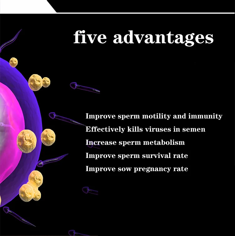 Semen Thinning Powder Boar Semen Dilution Preservation Agent Diluent Sperm for Pigs Semen Extender for Pigs Guangdong Musyder