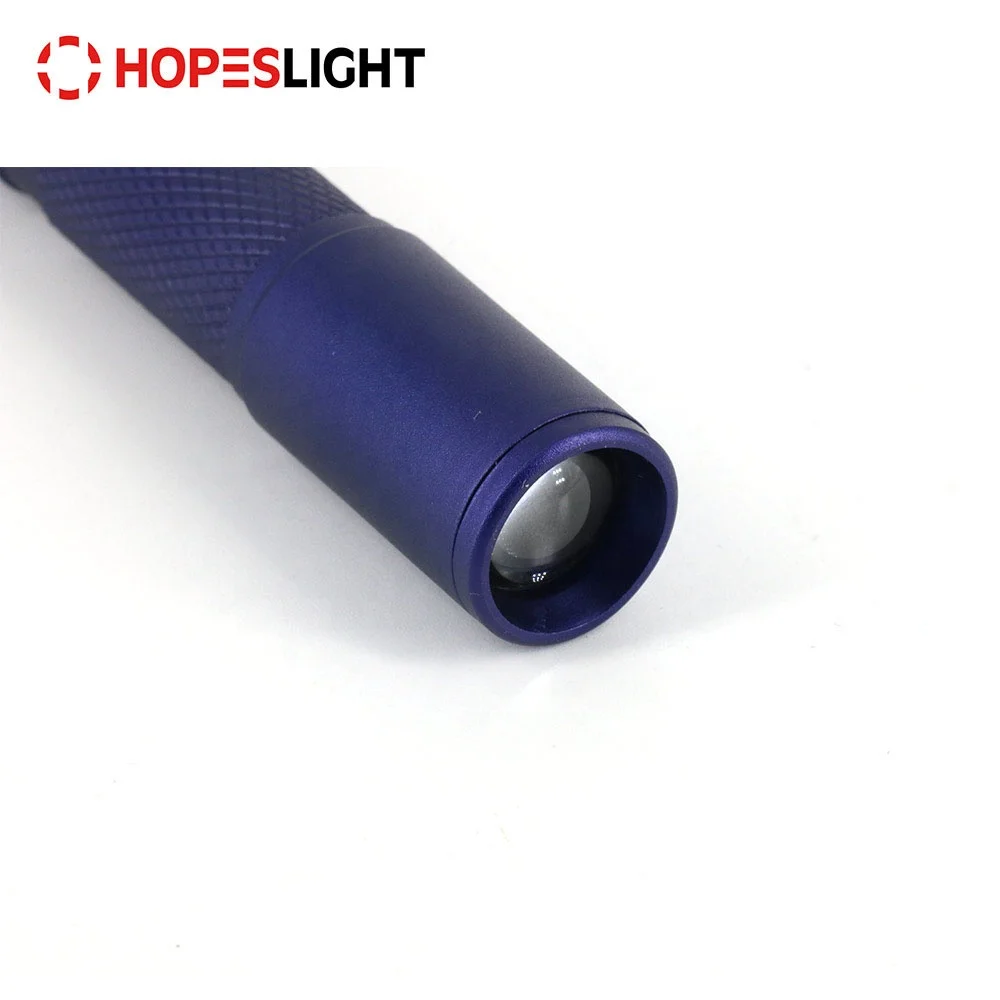 
Mini keychain 395nm UV torch ultraviolet flashlight for money detection 