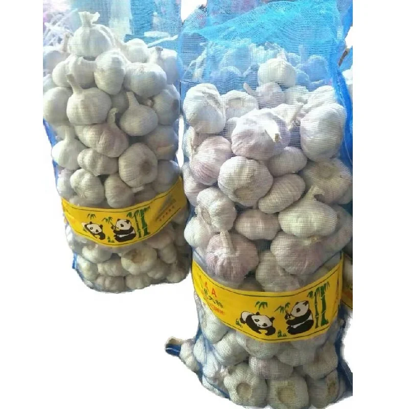 wholesale price for Chinese white garlic and red garlic with loose bag and box package