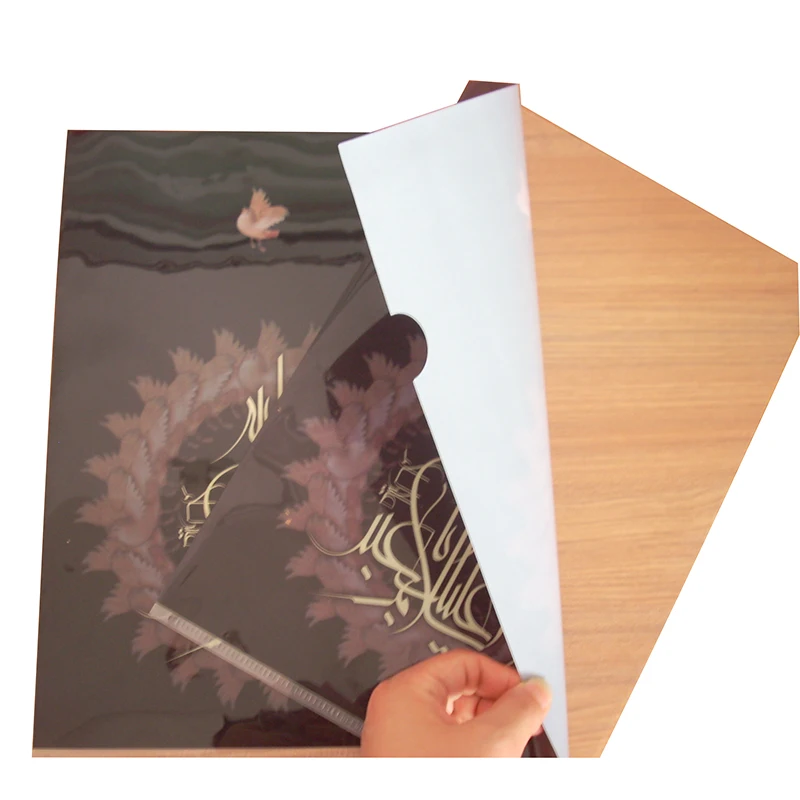 Горячая продажа пользовательских персонализированных логотипов прозрачный ПП пластиковый файл папка