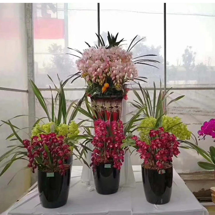Modern Plastic Decorative medium moist auto watering simple Flower Pots