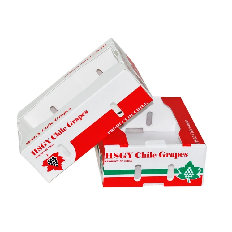 Waterproof Customized plastic corrugated box plastic box for fruit fruit packing box