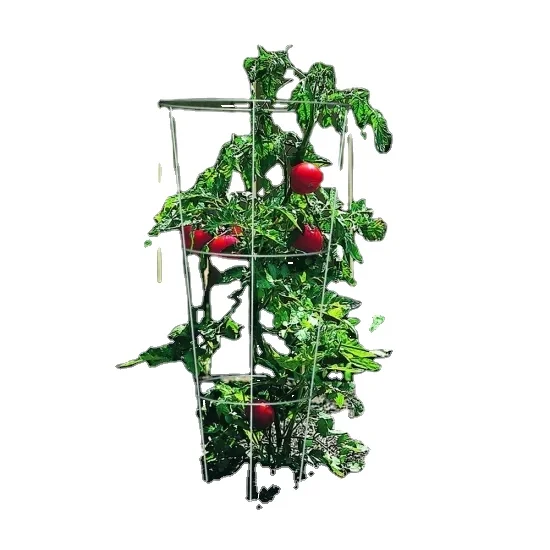 
Tomato cage And Plant Support Cage tomato stick 