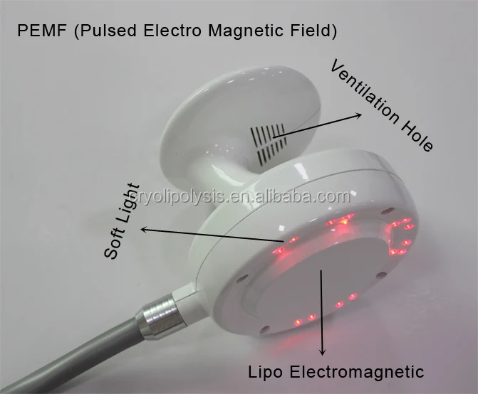 EMS ABS Six Packs Building Electro Magnetic Muscle Stimulator Machine With Slimming Function