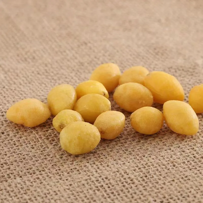 Ginkhole Direct Factory Sale Additive-Free Crispy Fried Ginkgo Nut Kernel Snacks Original Flavor Hard Ready-to-Eat Salty Taste