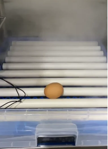 Automatic Egg Incubator Intelligent Chicken Egg Incubator with Temperature Humidity Controller Chick Egg Hatch Machine