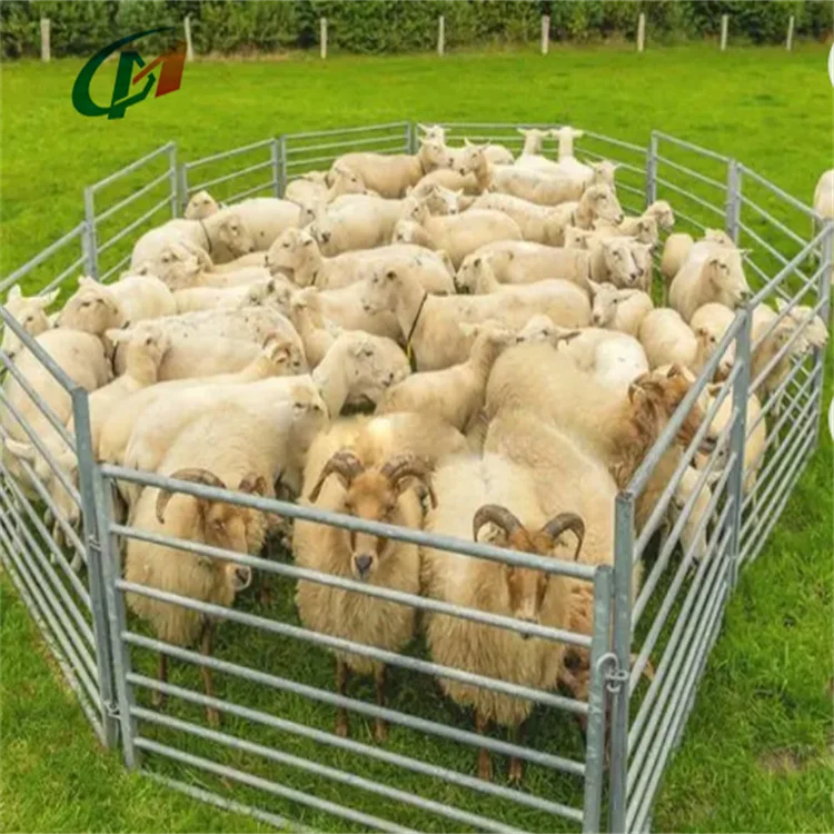 Hot Selling Usa 12 Ft Heavy Duty Livestock Cattle Corral Fence And Horse Round Pen Panels Corral Panels And Gates For Sales