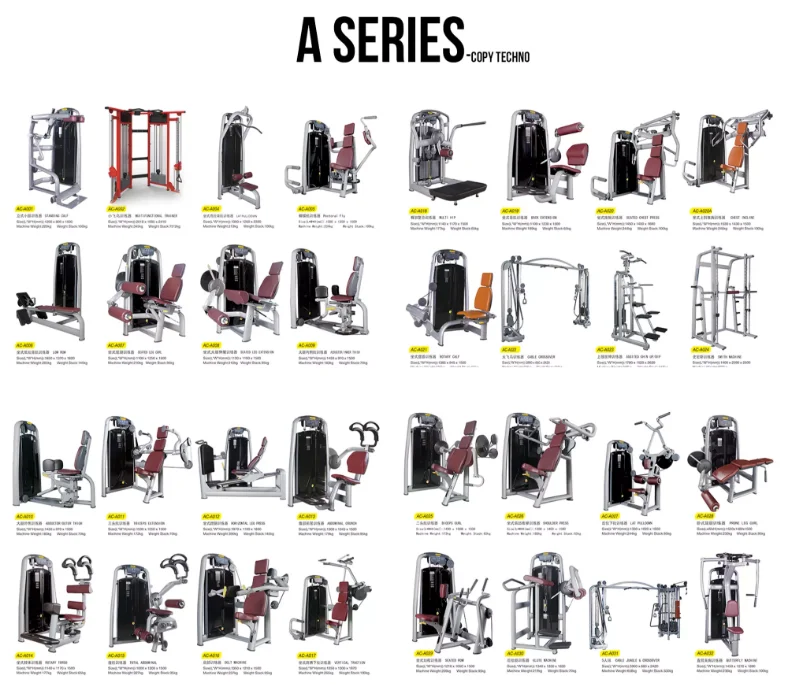 
New year sale Commercial body building hummer machine Free Weight Row for Professional gym build with factory price in China 