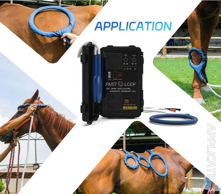 Equine PMST LOOP PEMF Electromagnetic Field Therapy Safe and Effective Treatment Reduces Pain Swelling Soreness In Horses