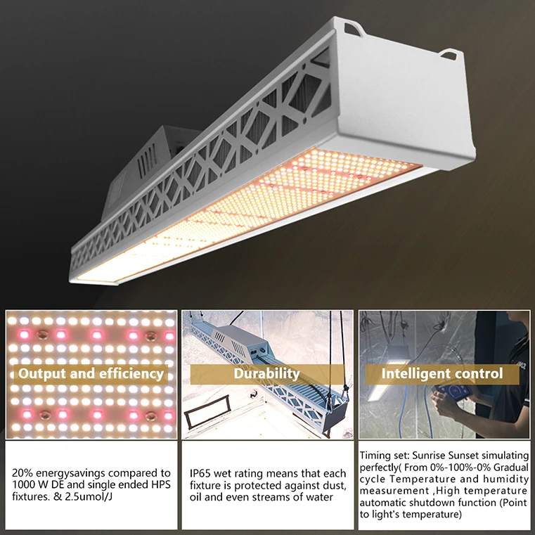 Full Spectrum Waterproof 6500K white grow led light stripe greenhouse bloom led grow light for planting