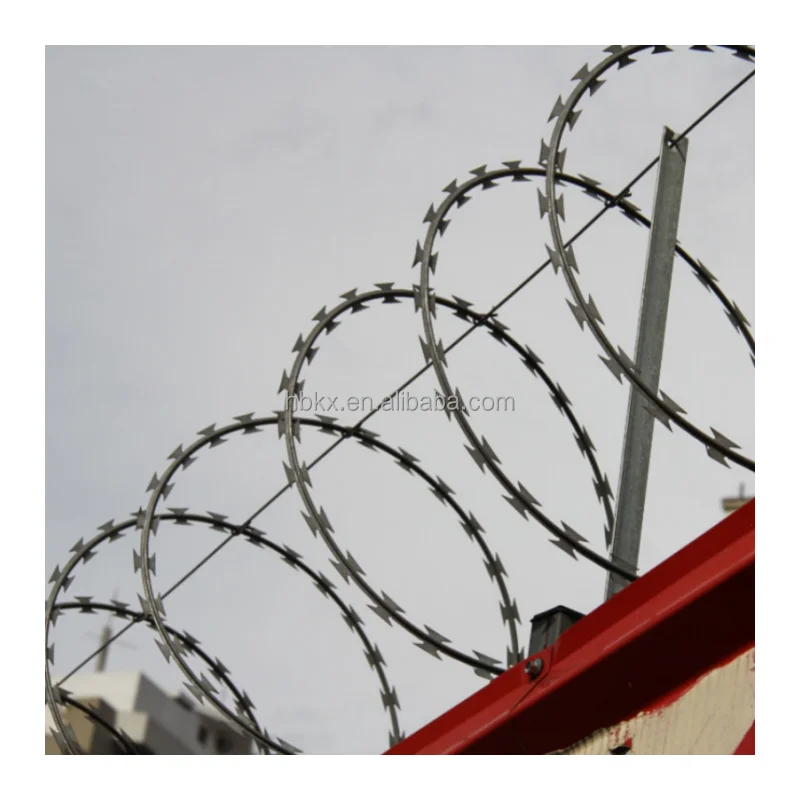 Anti-climbing anti-theft protection razor barbed wire roll concertina type modern security fencing razor barbed wire