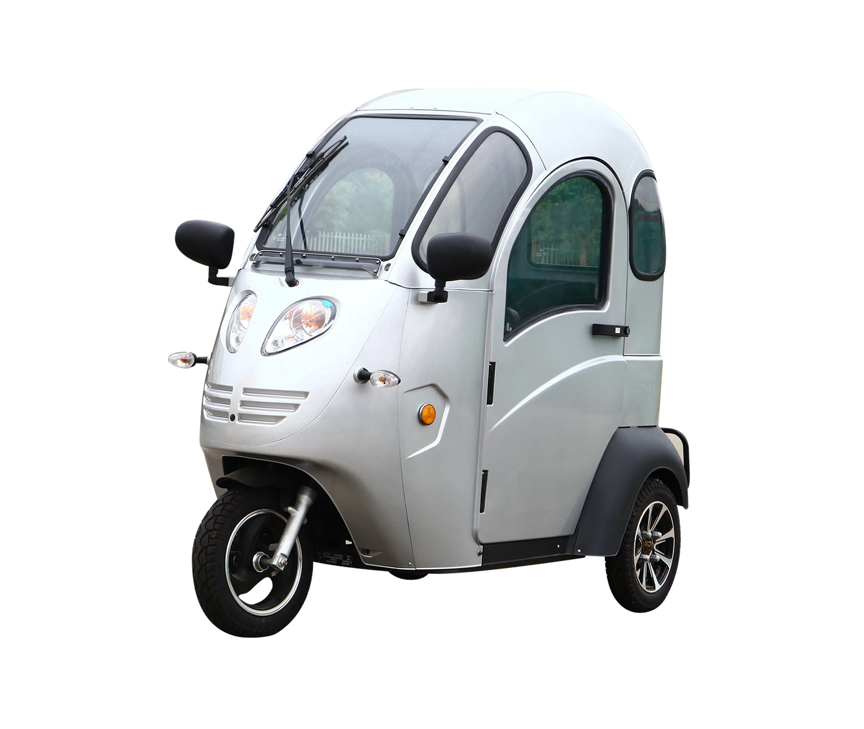 3 wheel motocarro electrico tree viller vehicle motorbike electric tricycle