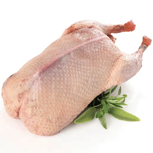 HALAL Frozen Whole Ducks at wholesales prices