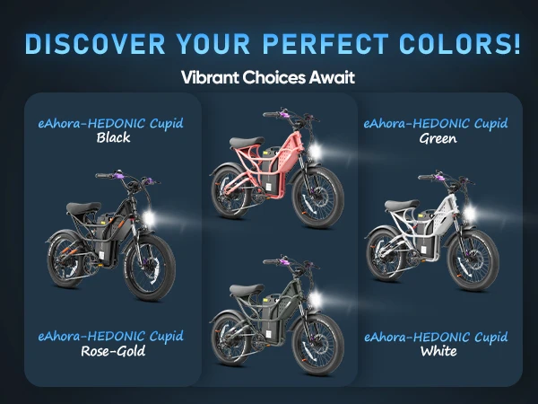 Eahora Cupid FOB China Electric Bike 1000W Electric City Bicycle 48V 30Ah Fat Tire Electric Mountain Bike electric cargo bike