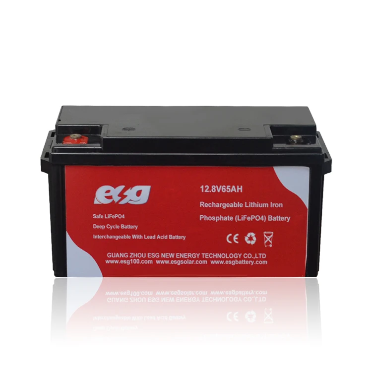ESG new energy Storage 50AH 65AH 90ah 80ah 12.8v 12v Solar Power System Lifepo4 Battery 100ah 120ah