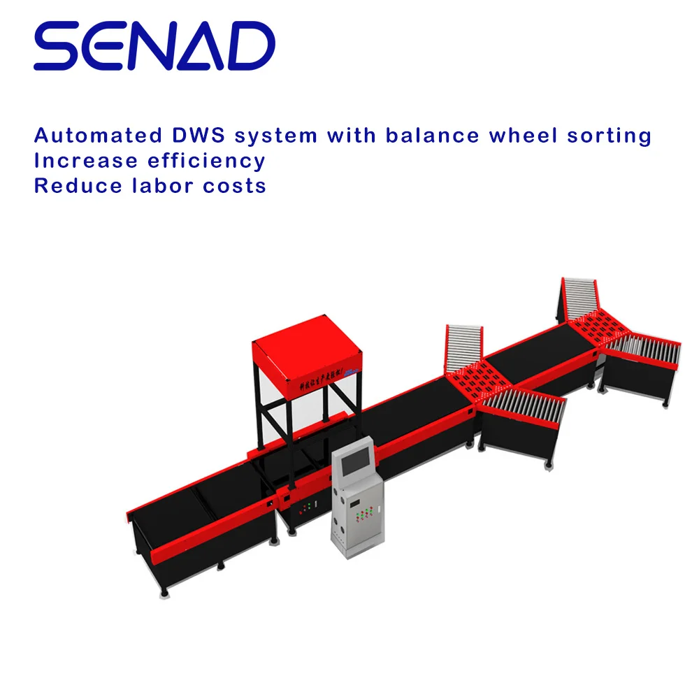Passenger Check-in Airport Belt Conveyor System Idler Belt Conveyor Courier Sorting or Express - Buy Parcel Sorting System