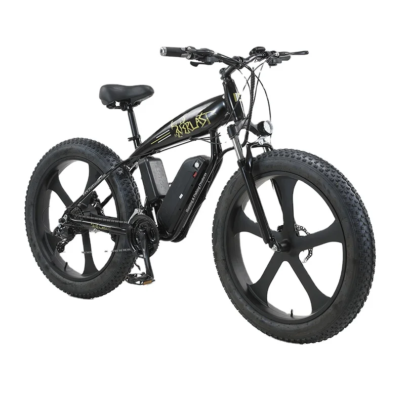 Cheap Wholesale 26 inch 750W 48v Fat Tire Electric Mountain Snow Bike Power Motor Electric Bicycle(old) 21 Speed City e Bikes