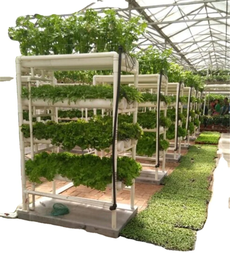 Вертикальные гидропонные системы для теплиц из