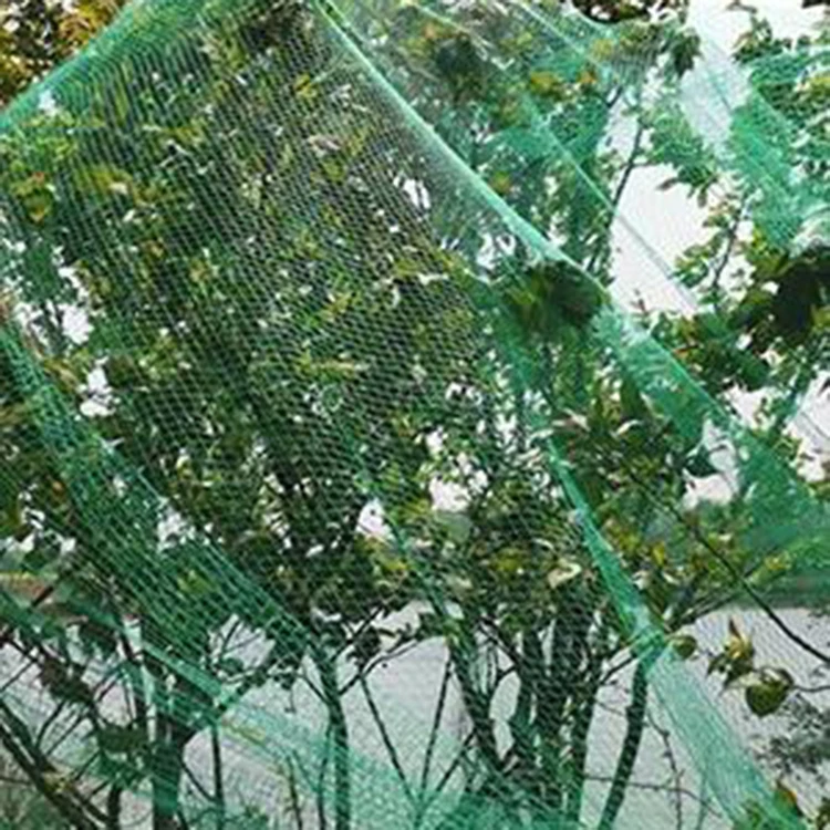 4 x 10 m  Strong Extruded Plastic anti bird netting bird proof netting anti pecking net Organized growth ensured