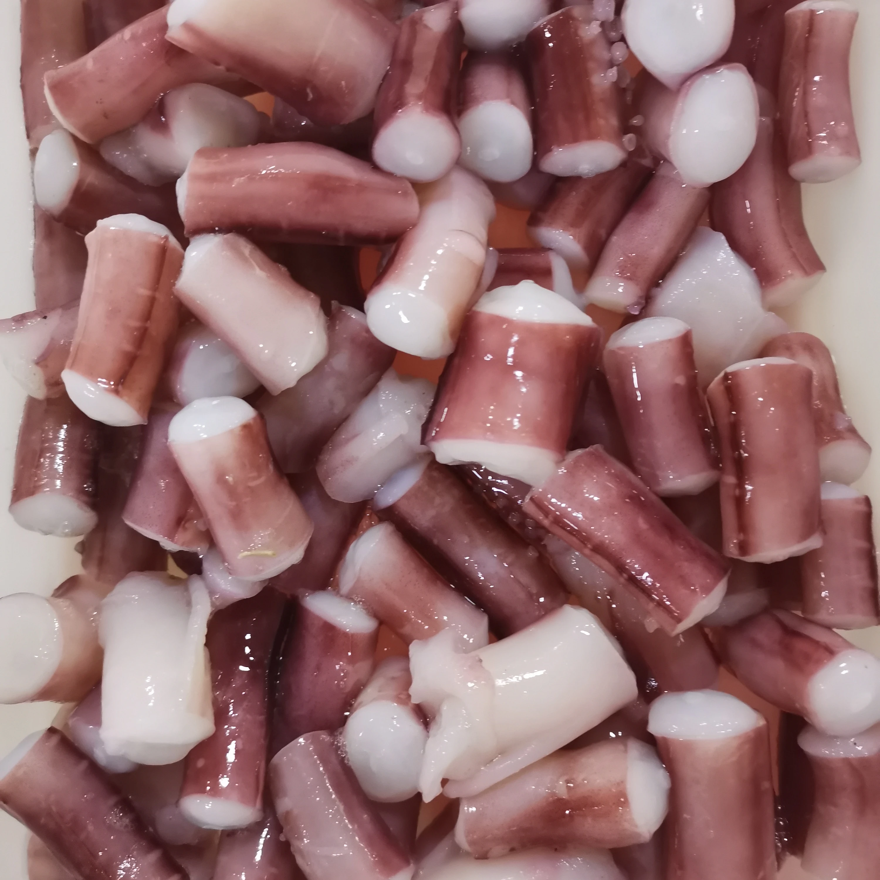 Wholesale Frozen Indian Squid Long Tentacle Cutted Dice For Thailand Market
