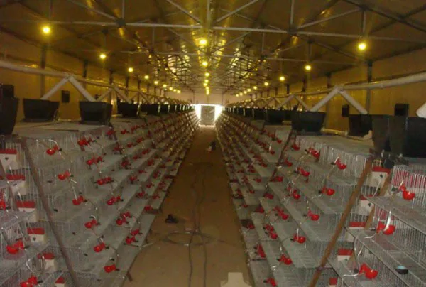 
New good quality lower price commercial farm quail cages with 6 tiers for sale 